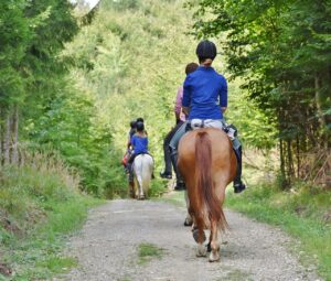 Ugyanaz vonatkozik a lovasokra, mint a kerékpárosokra: ha van lovas út, akkor mehetnek, az egyszerű turistajelzés „nem kóser”, és a gyalogos kap elsőbbséget